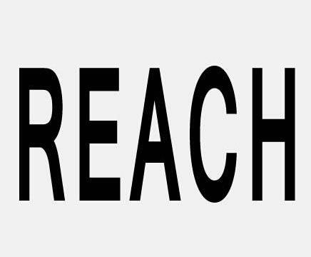06--REACH